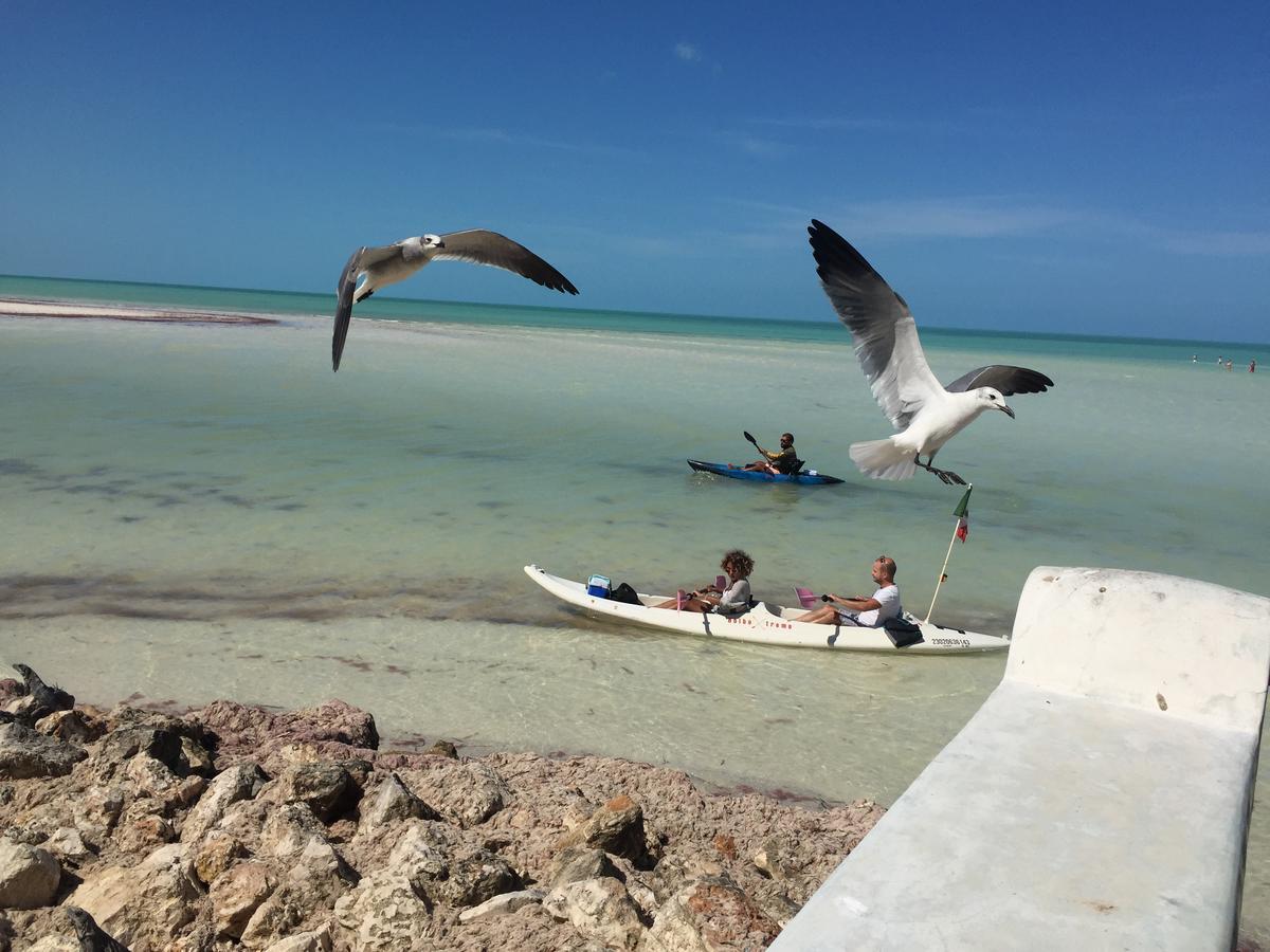 Hotel Hacienda La Catrina Isla Holbox Exterior foto